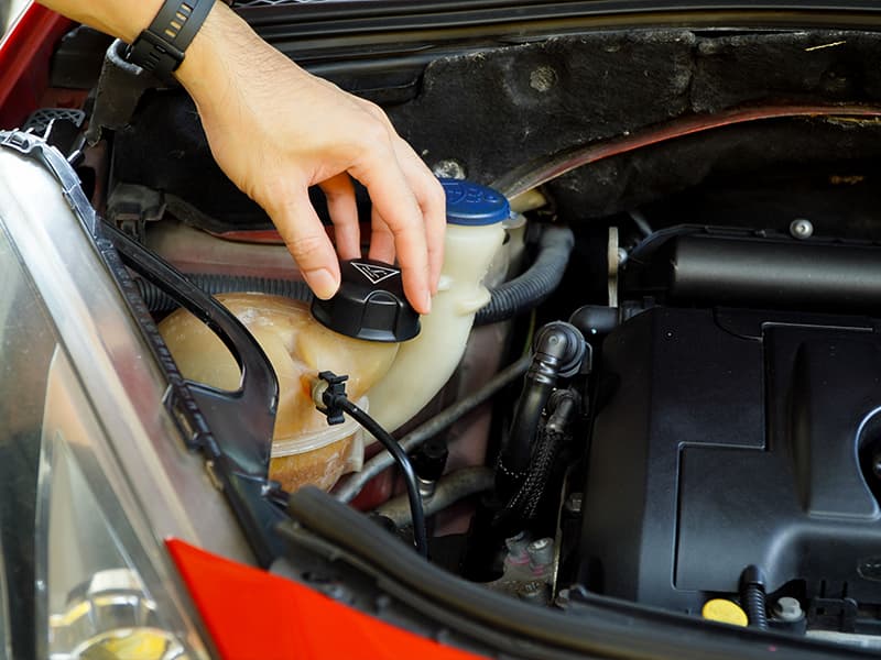 Fluid Flushes (Brake, Transmission, Coolant)